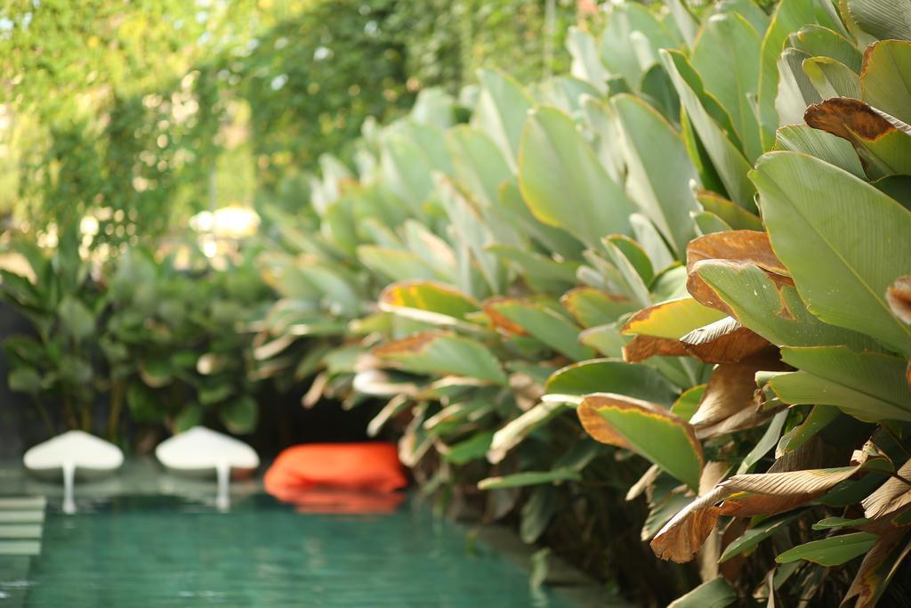 M Boutique Hostel Seminyak Dış mekan fotoğraf